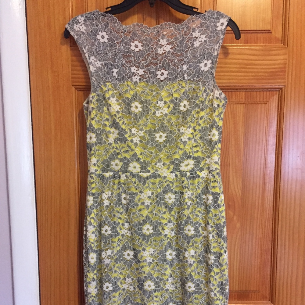 Maggy London Dress
